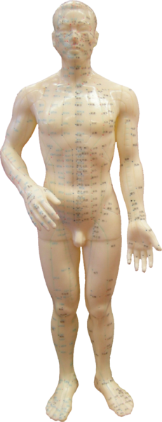 La medicina natural y su evidencia científica