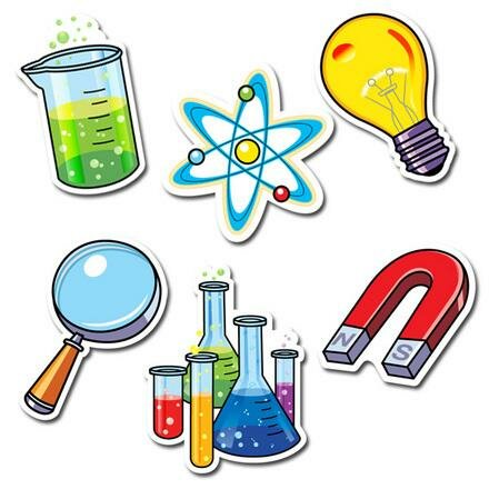 Conceptos Básicos de Biología para Educación Primaria