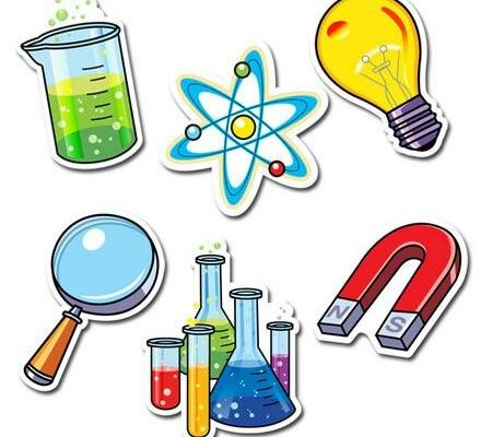 Conceptos Básicos de Biología para Educación Primaria