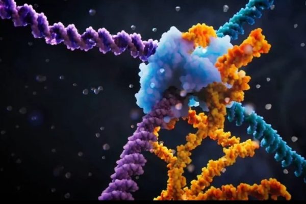 Nueva Enzima AlCas12a de la Universidad de Alicante Revoluciona la Edición Genética